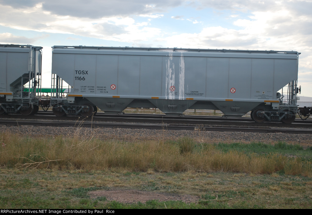 TGSX 1166